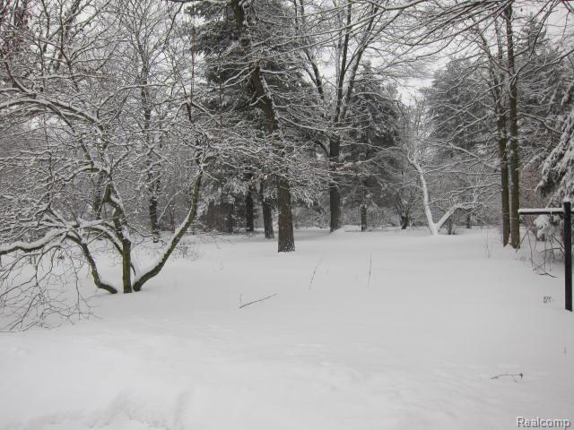 4475 Atkins Road Port Huron, MI 48060 - Photo 26 of 28 IMG_6089.jpg