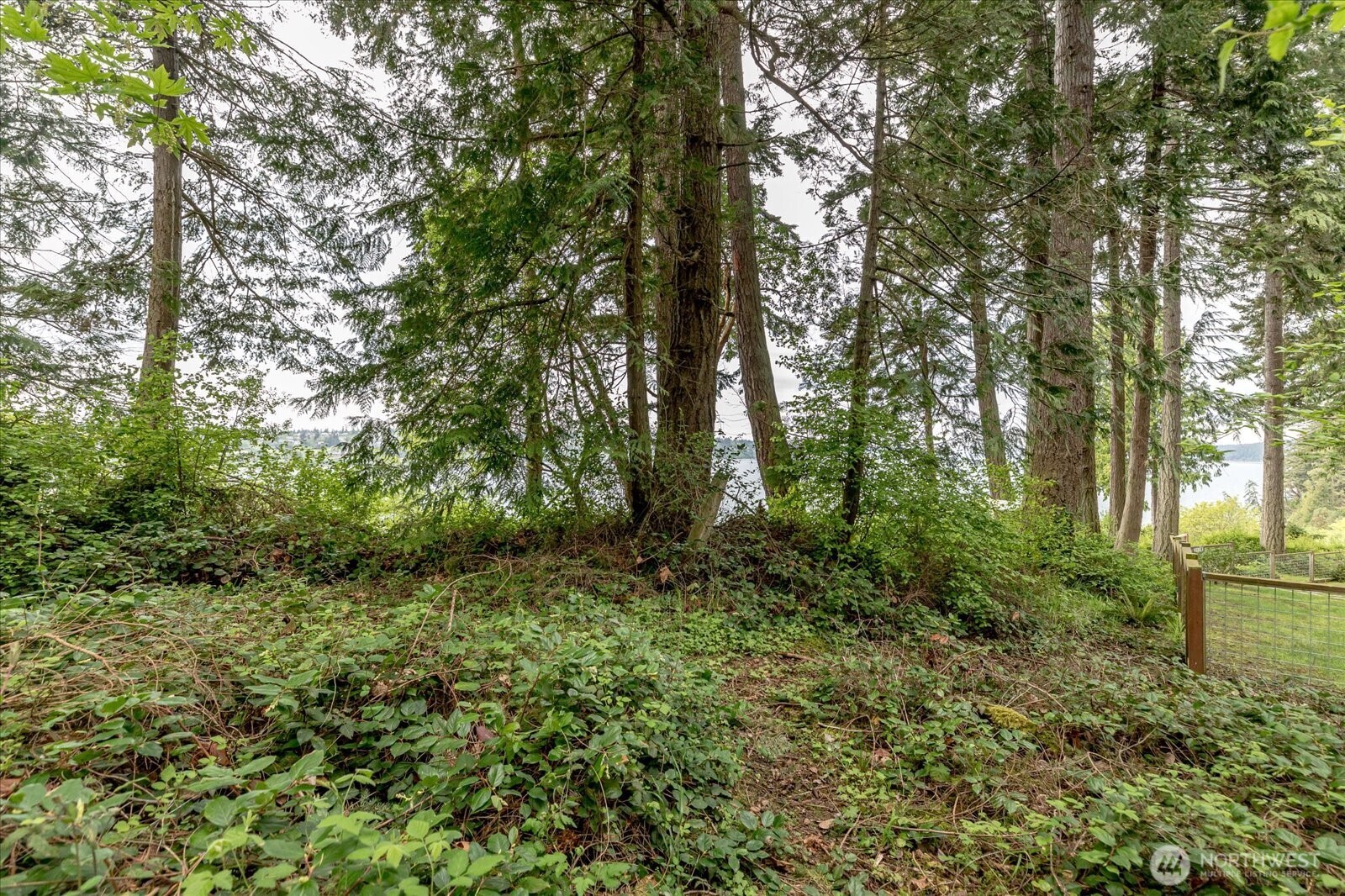 -0-xx East Harbor Road Freeland, WA 98249 - Photo 15 of 40 Gallery Image 15