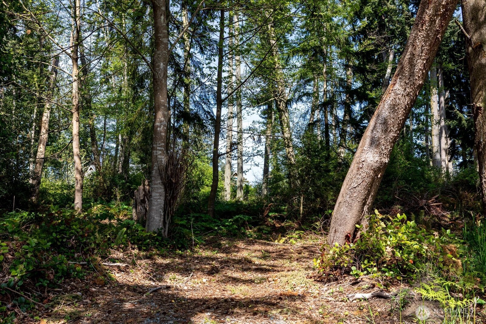 -0-xx East Harbor Road Freeland, WA 98249 - Photo 8 of 40 Gallery Image 8