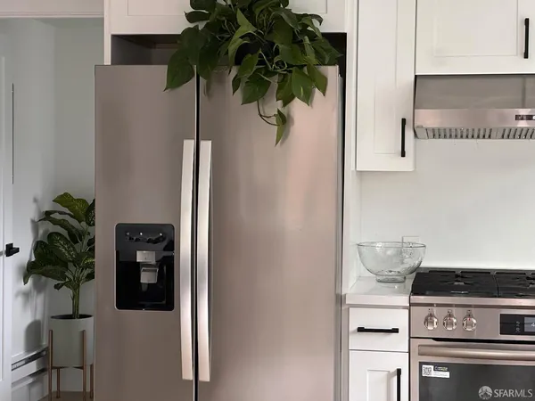 a close view of a potted plant on a counter top