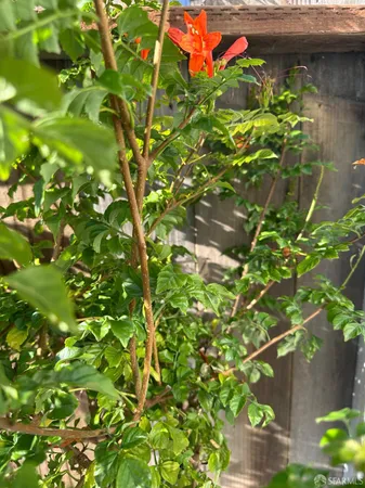 a backyard of a building with lots of green space