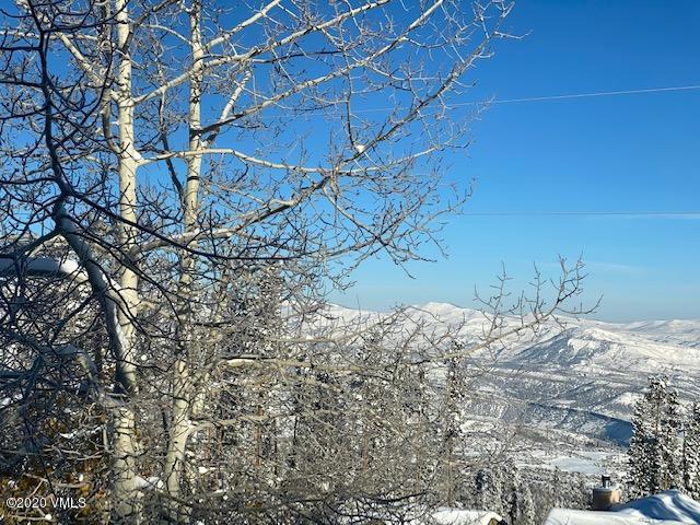 624 Big Dipper Road Wolcott, CO 81655 - Photo 29 of 32 IMG_0636