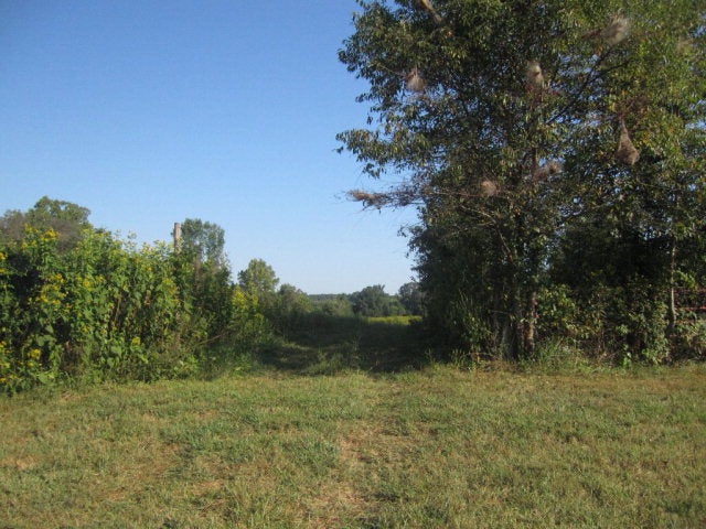 153 Mill Road Dry Fork, VA 24549 - Photo 5 of 28 Entrance To Land