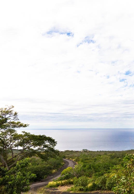 85-5240 Kiilae Road Captain Cook, HI 96704 - Photo 3 of 3 Gallery Image 3