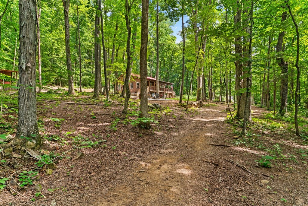 307 Smith Mountain Road Dunlap, TN 37327 - Photo 36 of 54 Gallery Image 36