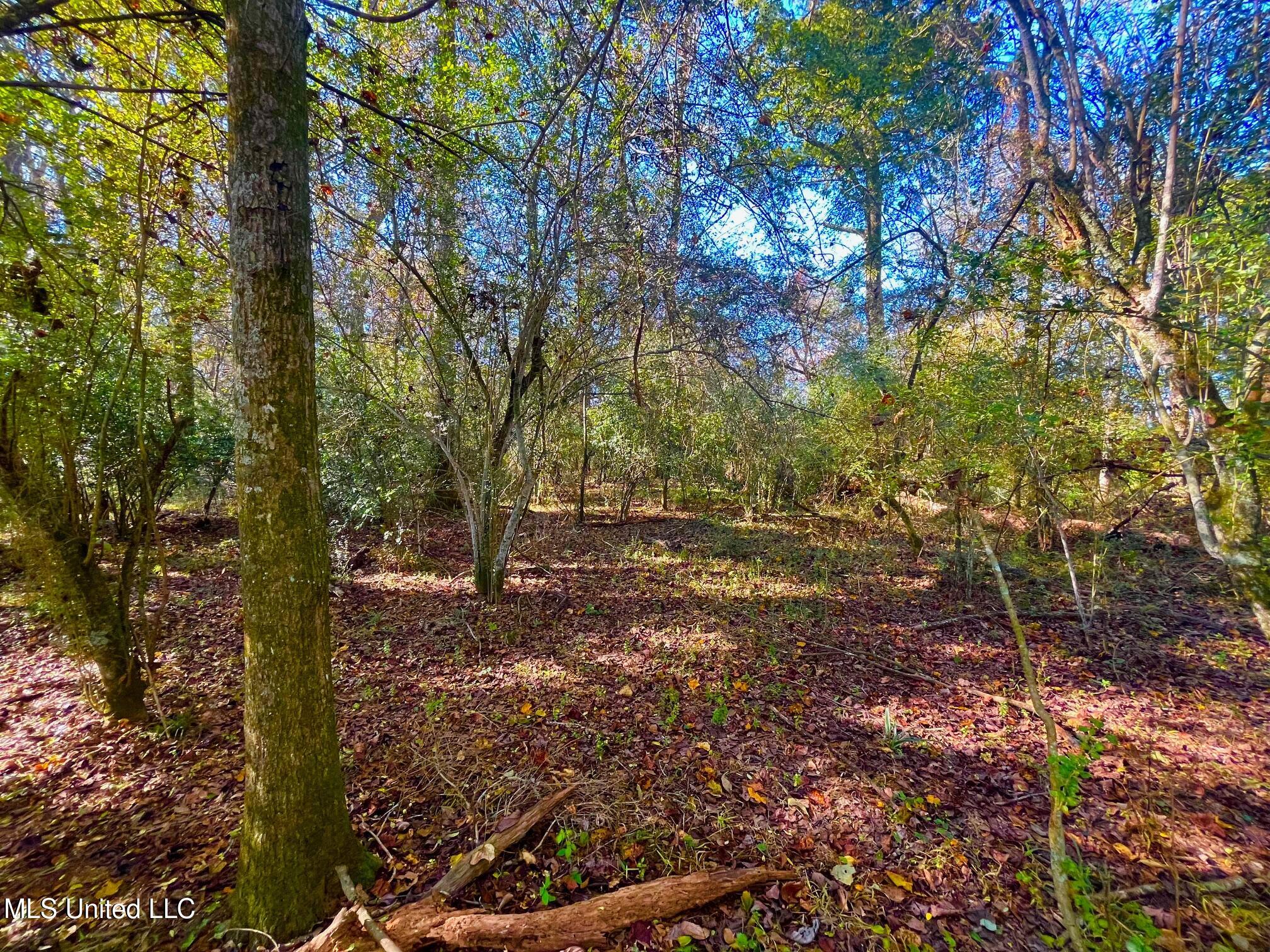 Darbun China Grove Road Kokomo, MS 39643 - Photo 11 of 19 cc11