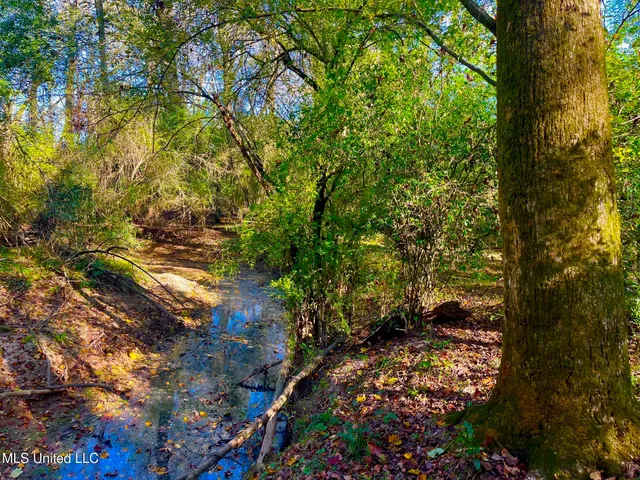 $294,525 | Darbun China Grove Road, Kokomo, MS 39643