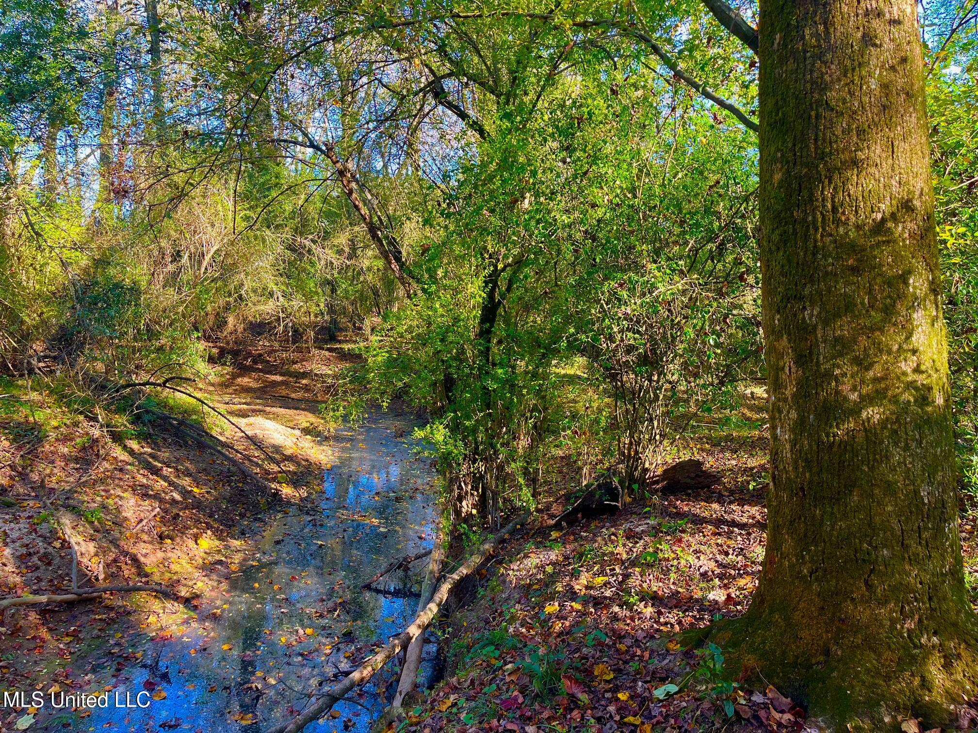 Darbun China Grove Road Kokomo, MS 39643 - Photo 12 of 19 cc12