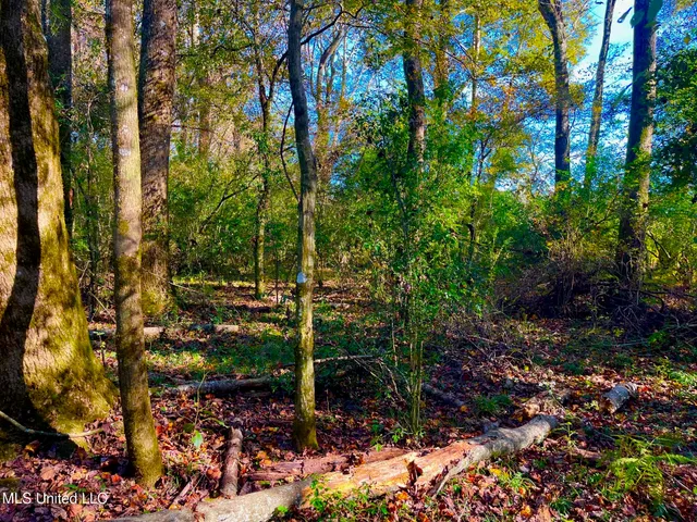 $294,525 | Darbun China Grove Road, Kokomo, MS 39643