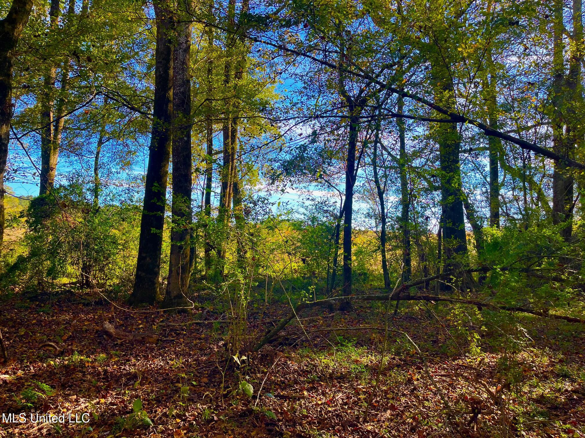 Darbun China Grove Road Kokomo, MS 39643 - Photo 14 of 19 cc14