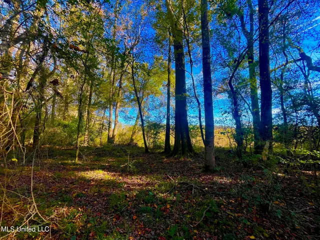 $294,525 | Darbun China Grove Road, Kokomo, MS 39643