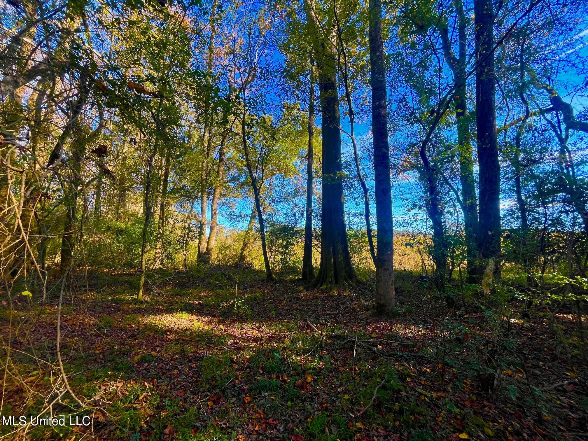 Darbun China Grove Road Kokomo, MS 39643 - Photo 15 of 19 cc15