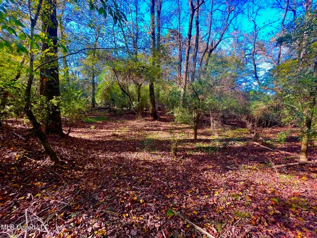 $294,525 | Darbun China Grove Road, Kokomo, MS 39643