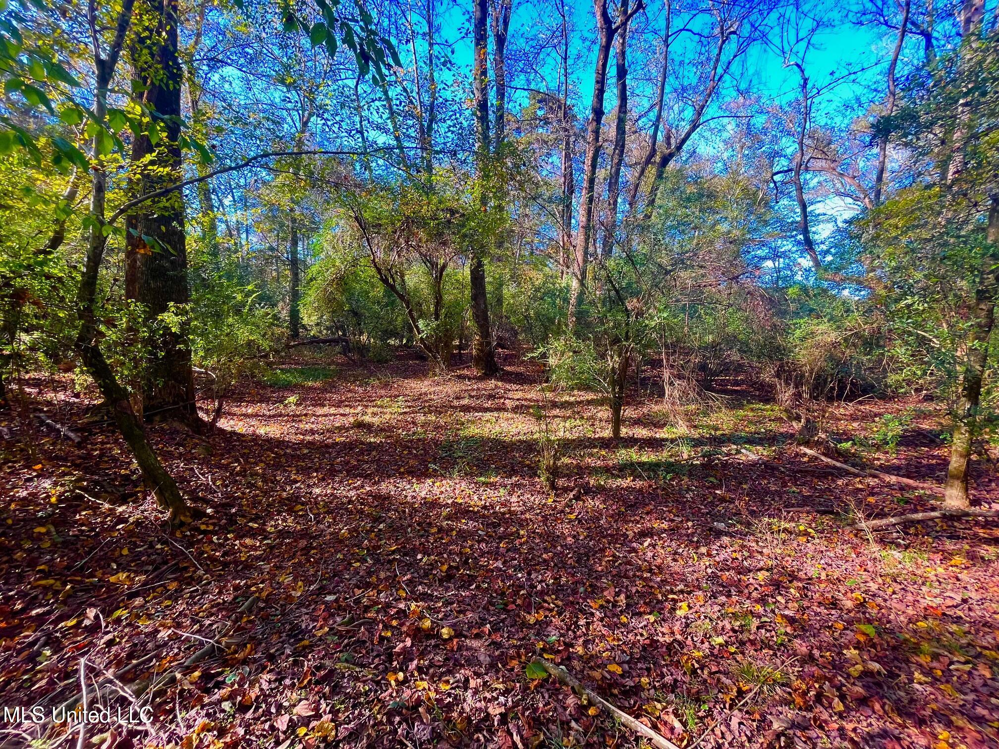 Darbun China Grove Road Kokomo, MS 39643 - Photo 18 of 19 cc16