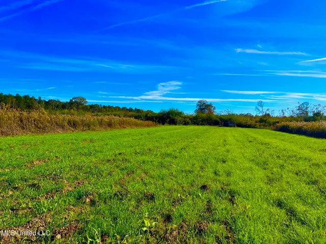 $294,525 | Darbun China Grove Road, Kokomo, MS 39643