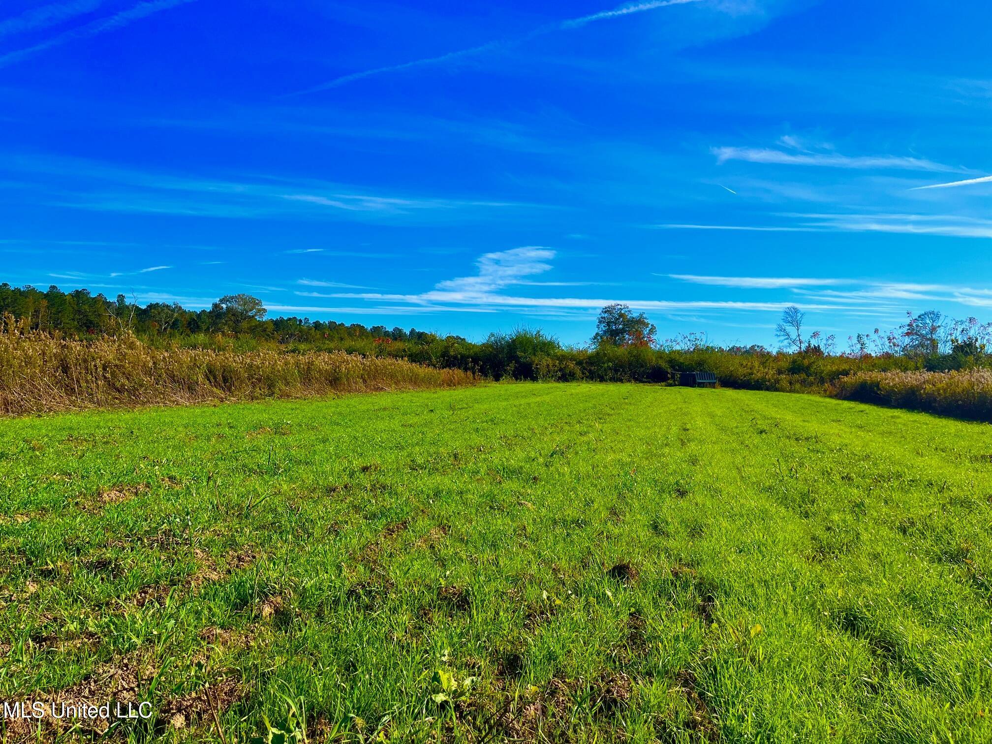 Darbun China Grove Road Kokomo, MS 39643 - Photo 19 of 19 cc19