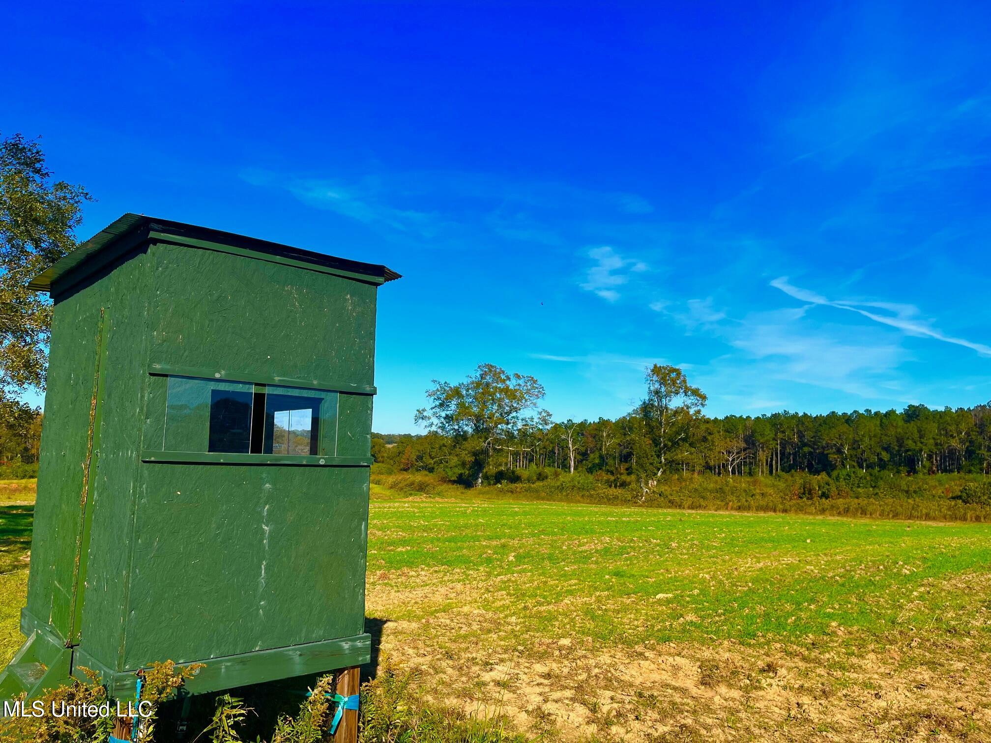 Darbun China Grove Road Kokomo, MS 39643 - Photo 2 of 19 cc3