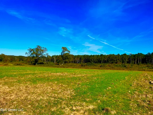 $294,525 | Darbun China Grove Road, Kokomo, MS 39643