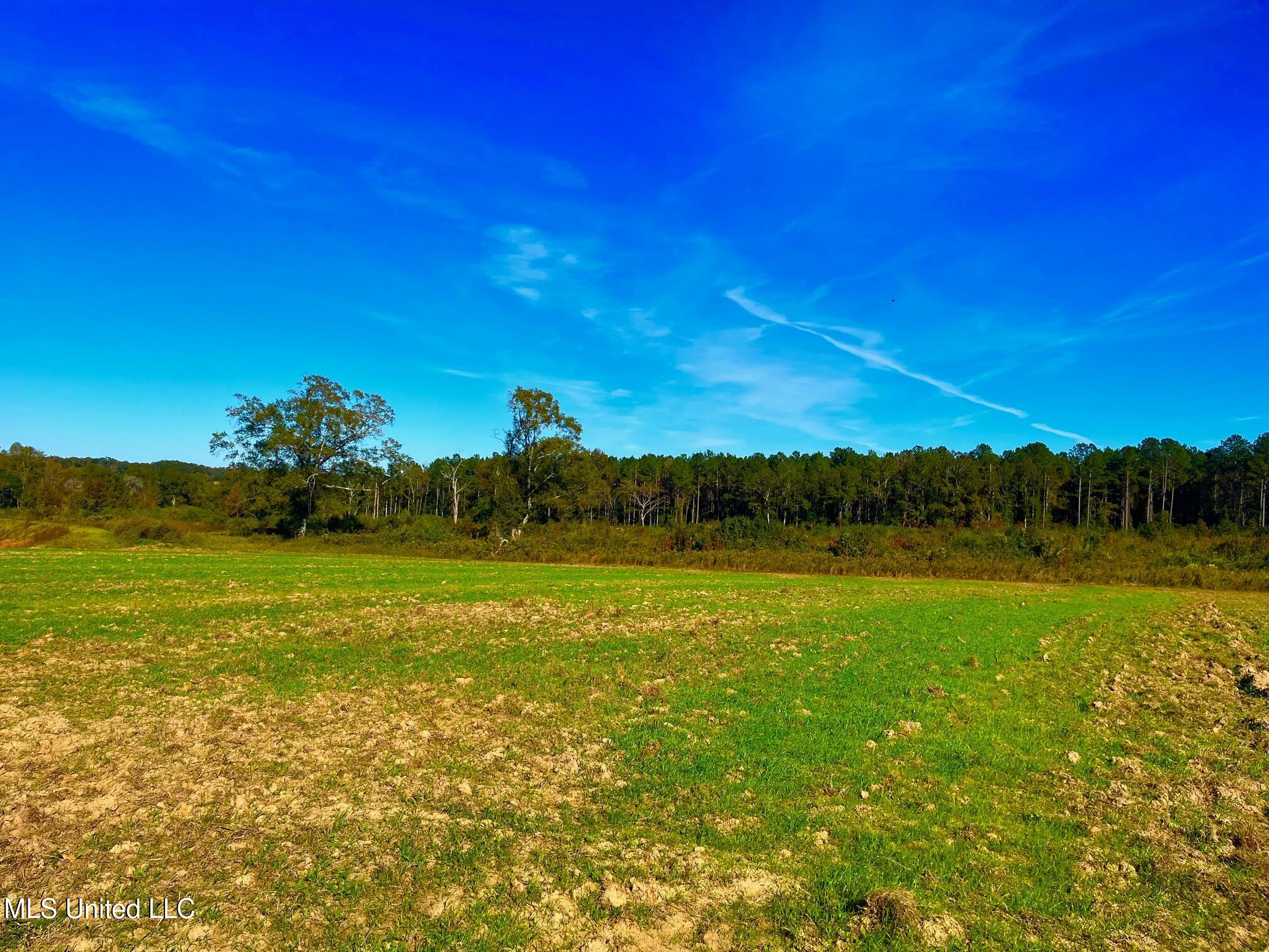 Darbun China Grove Road Kokomo, MS 39643 - Photo 3 of 19 cc2