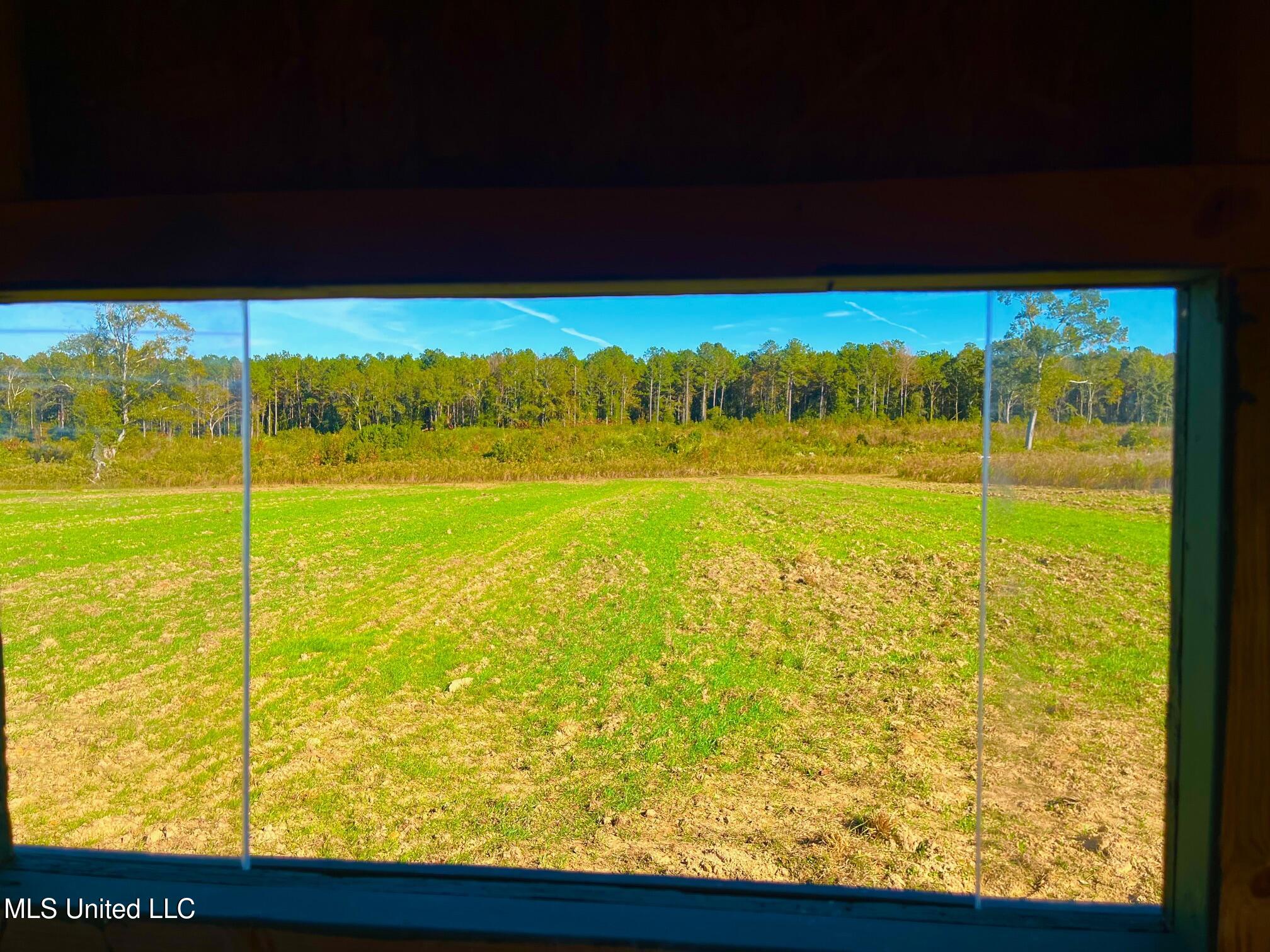 Darbun China Grove Road Kokomo, MS 39643 - Photo 4 of 19 cc4