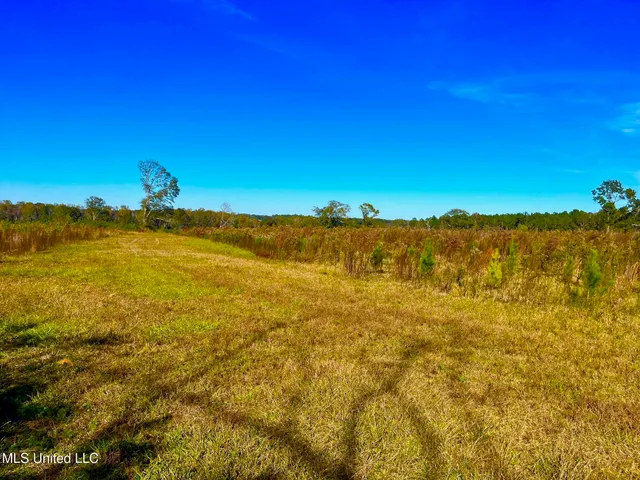 $294,525 | Darbun China Grove Road, Kokomo, MS 39643