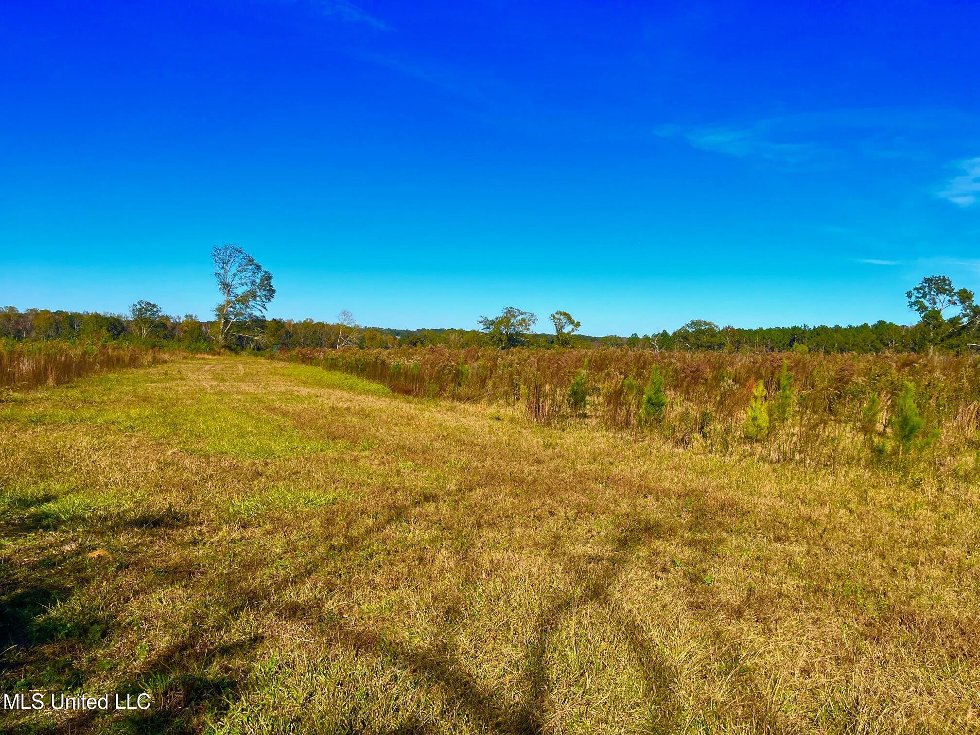 Darbun China Grove Road Kokomo, MS 39643 - Photo 6 of 19 cc6