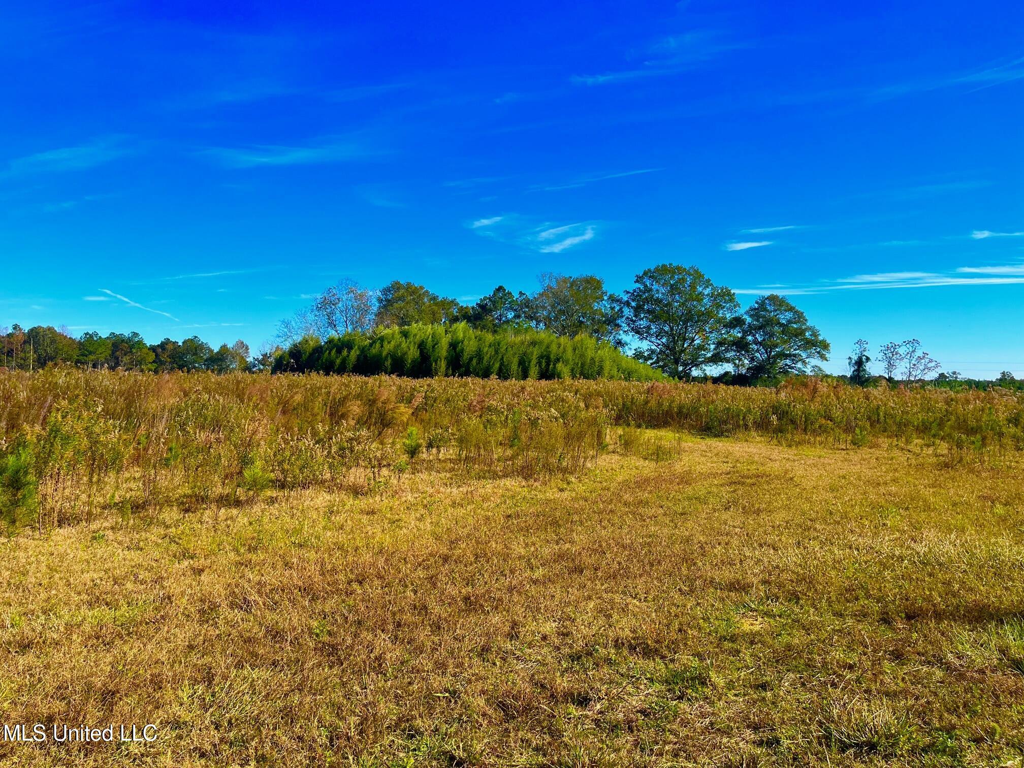 Darbun China Grove Road Kokomo, MS 39643 - Photo 7 of 19 cc7