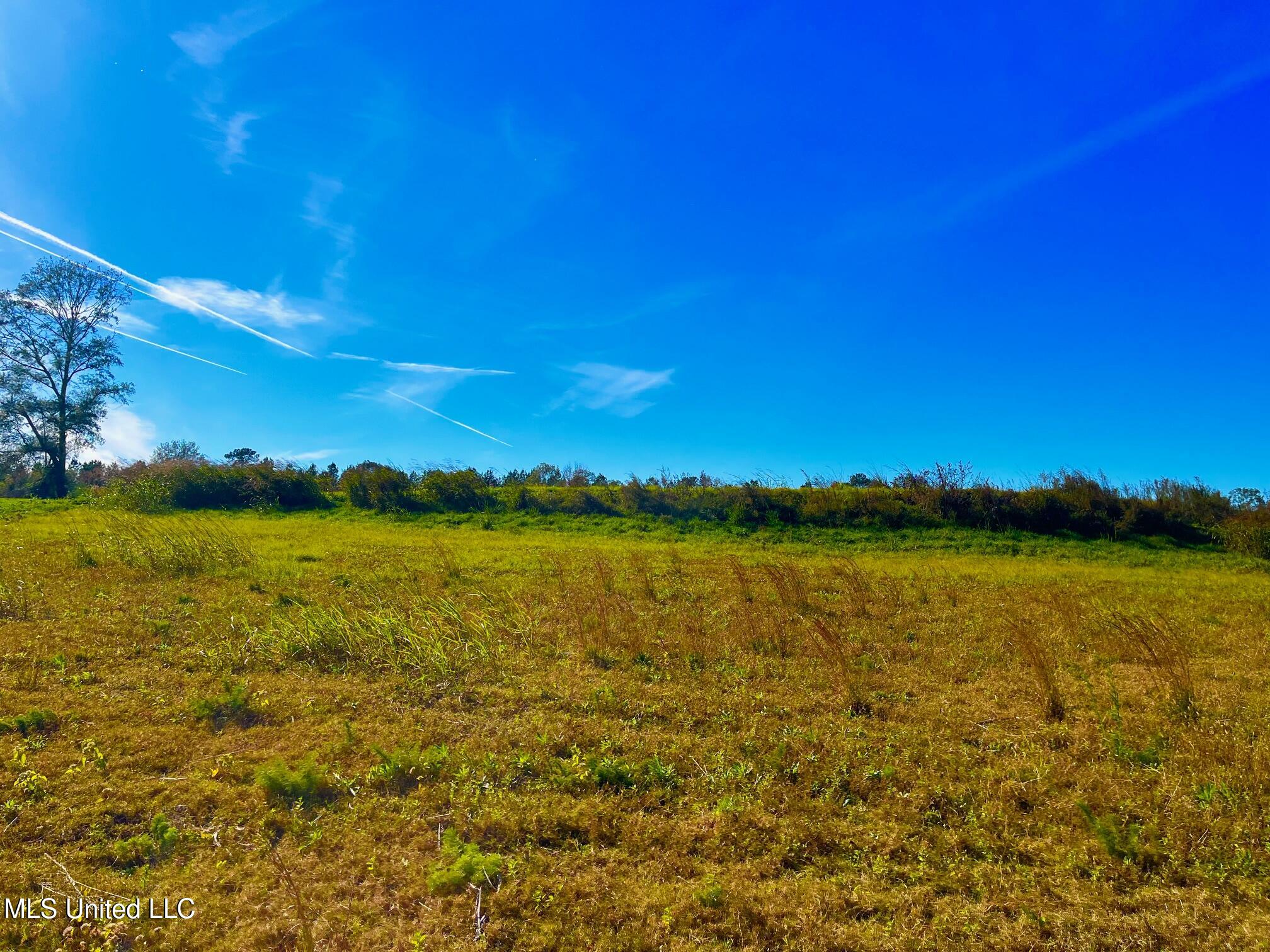 Darbun China Grove Road Kokomo, MS 39643 - Photo 8 of 19 cc8