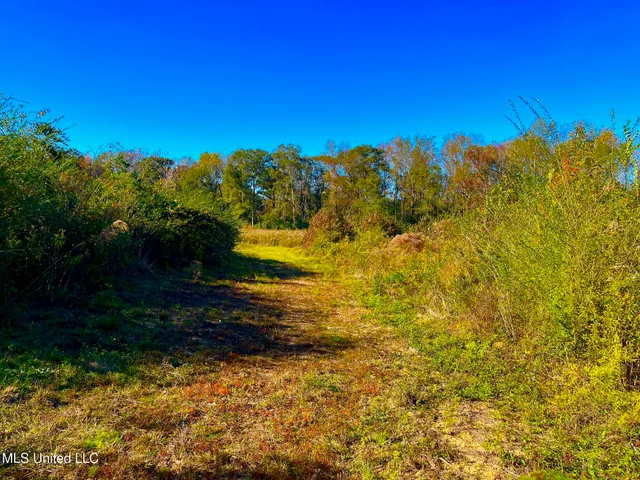 $294,525 | Darbun China Grove Road, Kokomo, MS 39643