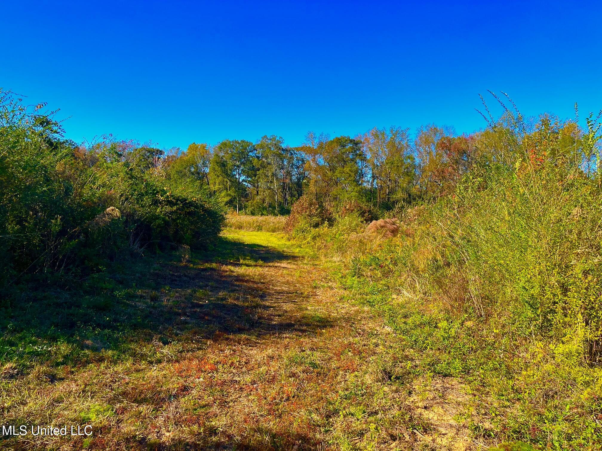 Darbun China Grove Road Kokomo, MS 39643 - Photo 9 of 19 cc9