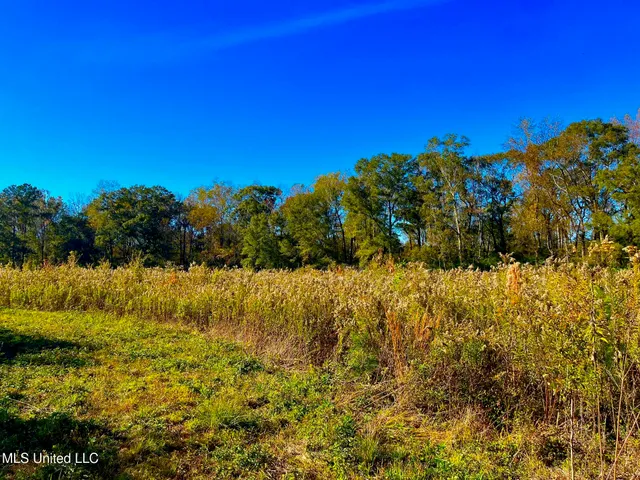 $294,525 | Darbun China Grove Road, Kokomo, MS 39643