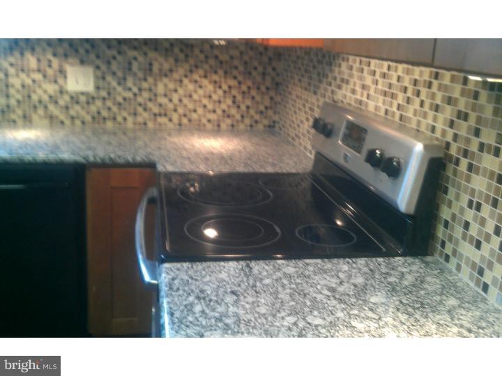 1128 Mount Laurel Road Temple, PA 19560 - Photo 2 of 11 Kitchen