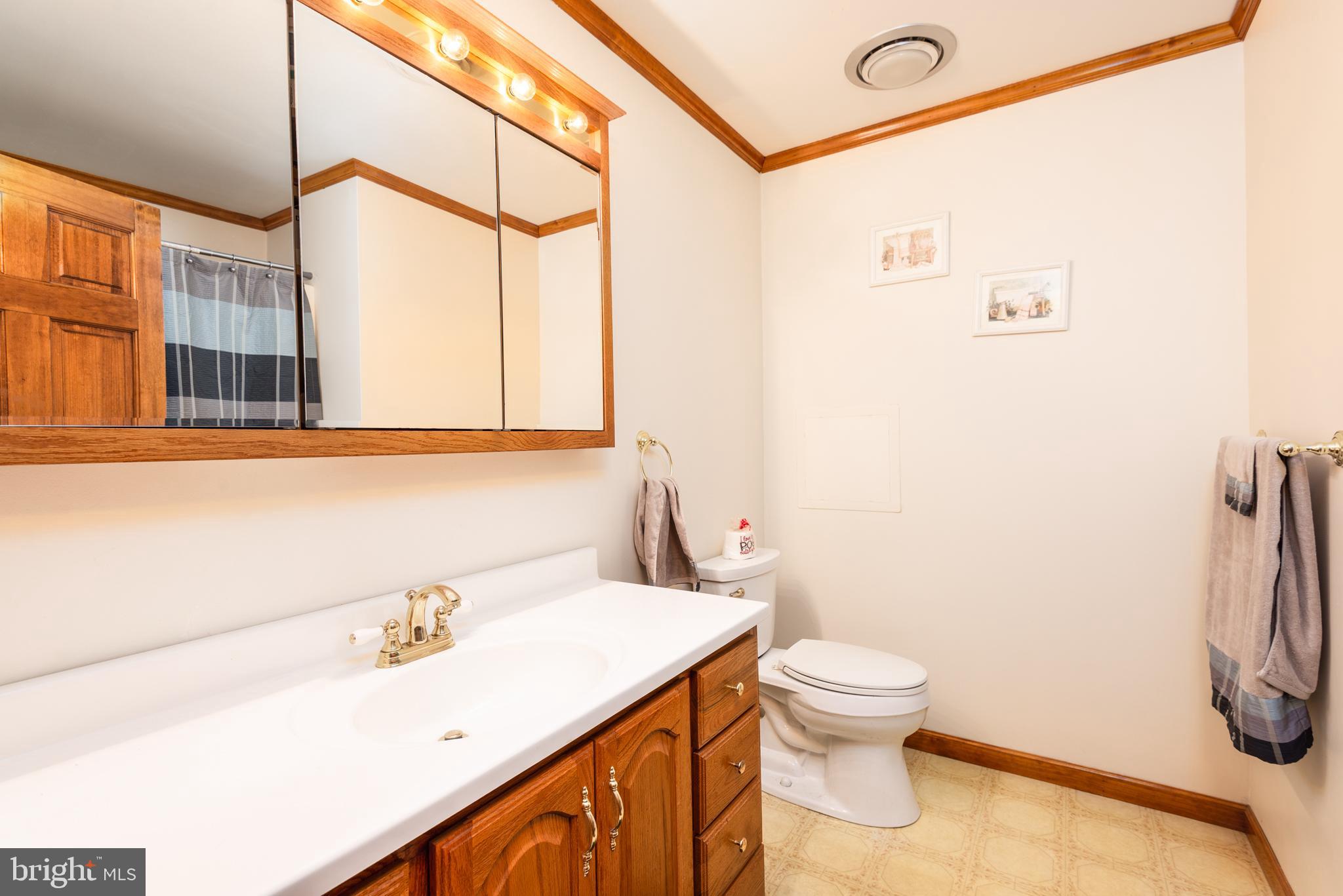 24131 Carrlyn Drive Ridgely, MD 21660 - Photo 23 of 31 Full bathroom