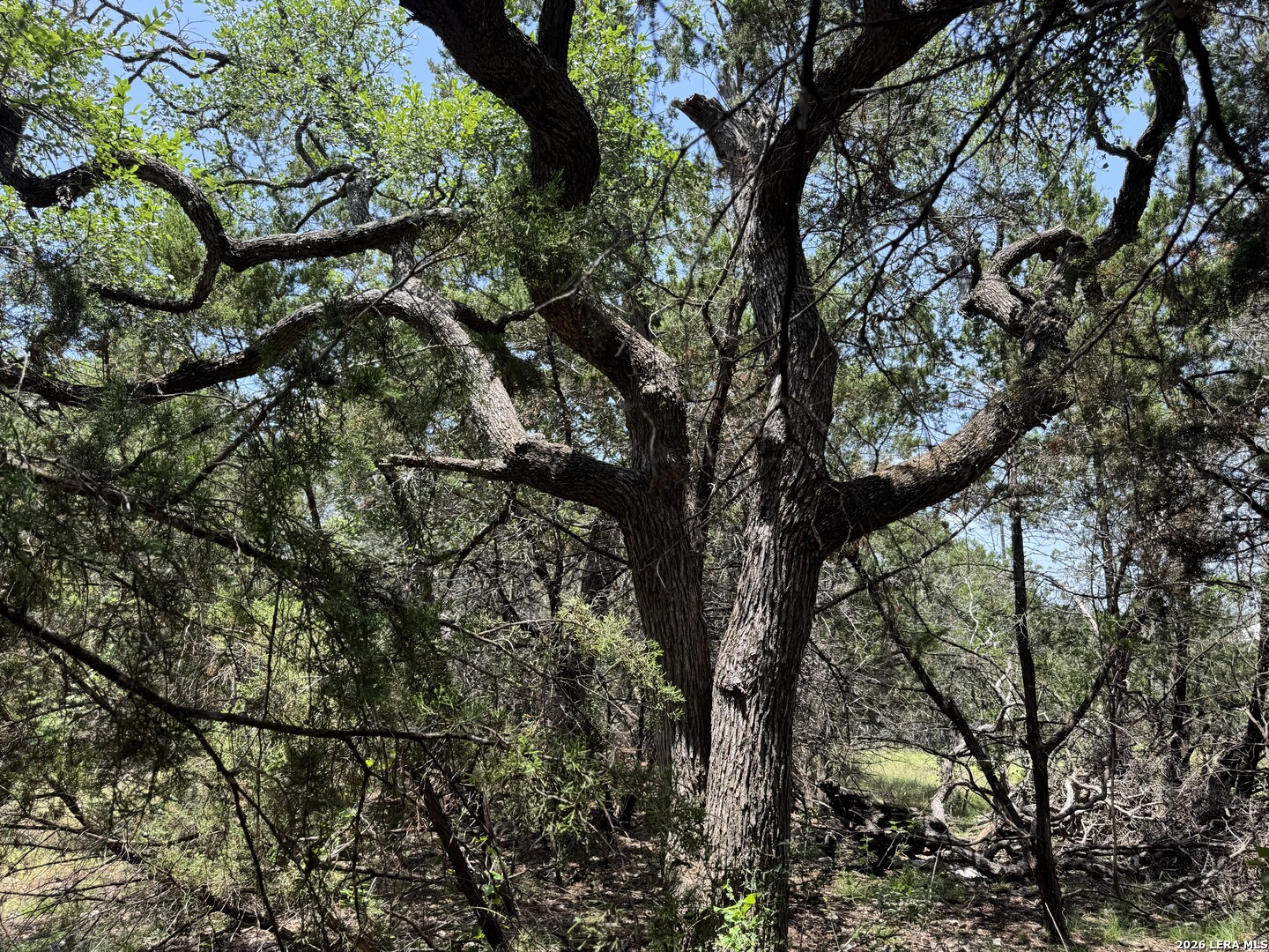 232 High Point Circle Spring Branch, TX 78070 - Photo 8 of 14