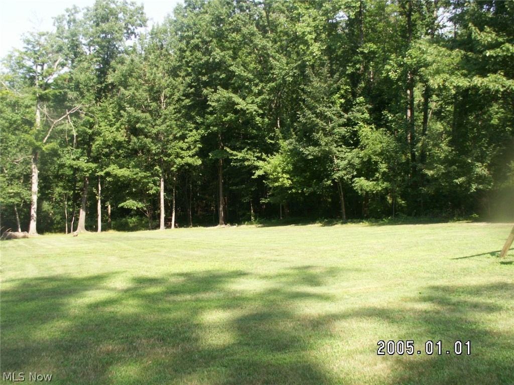 12156 Caves Road Chesterland, OH 44026 - Photo 21 of 23 Gallery Image 21