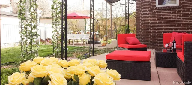 a view of a tree with a tree