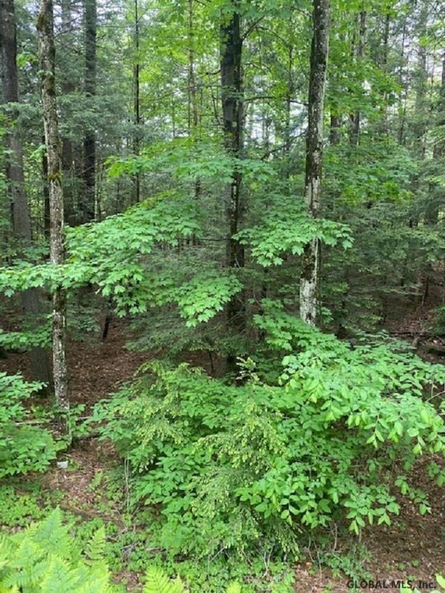 0 Parker Road Hadley, NY 12835 - Photo 2 of 4 Photo 2