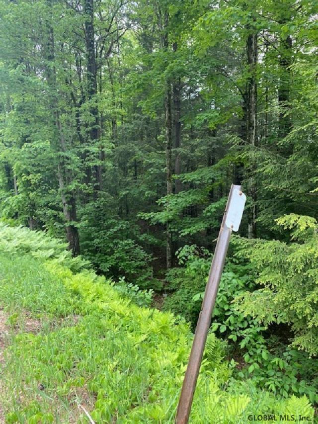 0 Parker Road Hadley, NY 12835 - Photo 3 of 4 Photo 3