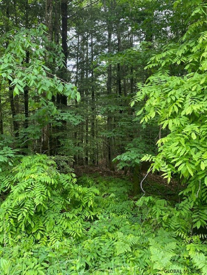 0 Parker Road Hadley, NY 12835 - Photo 4 of 4 Photo 4