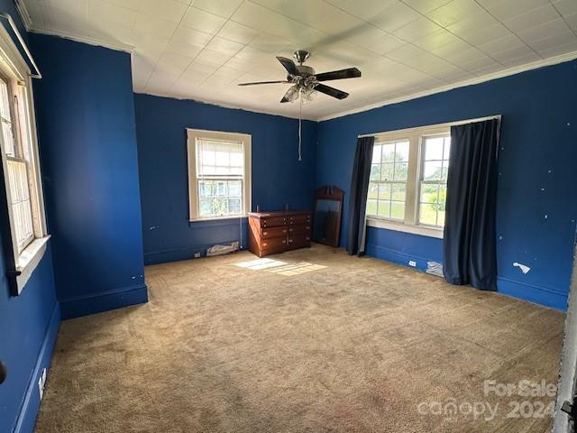 393 South Pea Ridge Road Mooresboro, NC 28114 - Photo 5 of 14 Gallery Image 5