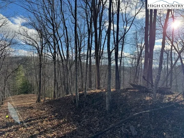 $100,000 | Lot 7-8 Happy Hunt Drive, Grassy Creek, NC 28631