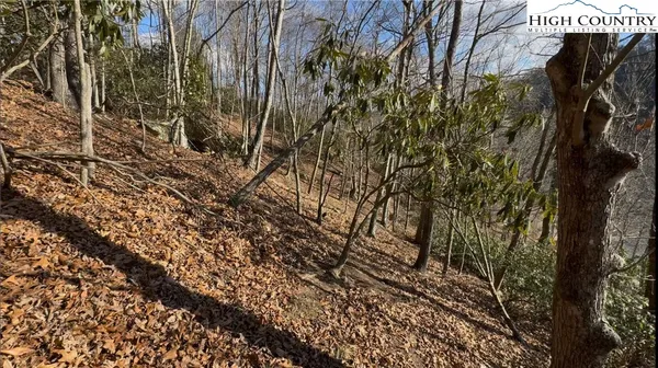 $100,000 | Lot 7-8 Happy Hunt Drive, Grassy Creek, NC 28631