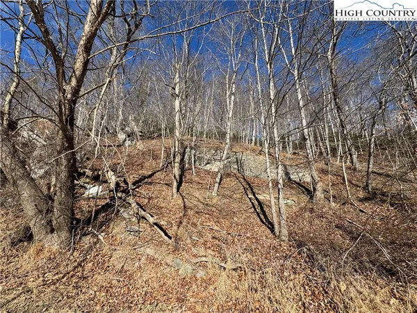 $100,000 | Lot 7-8 Happy Hunt Drive, Grassy Creek, NC 28631