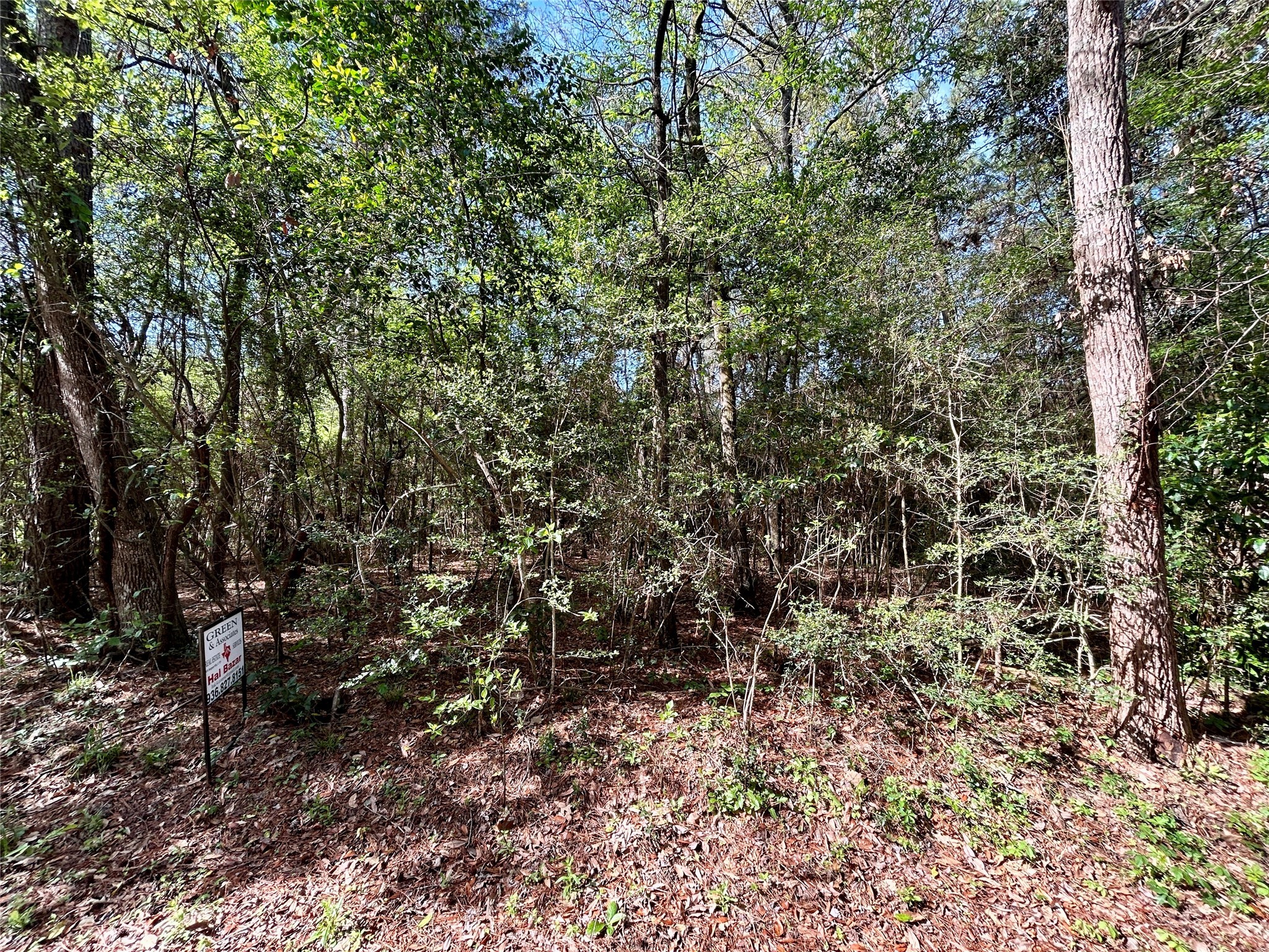 Tbd Copperhead Road Conroe, TX 77303 - Photo 18 of 21 a view of a yard with a tree