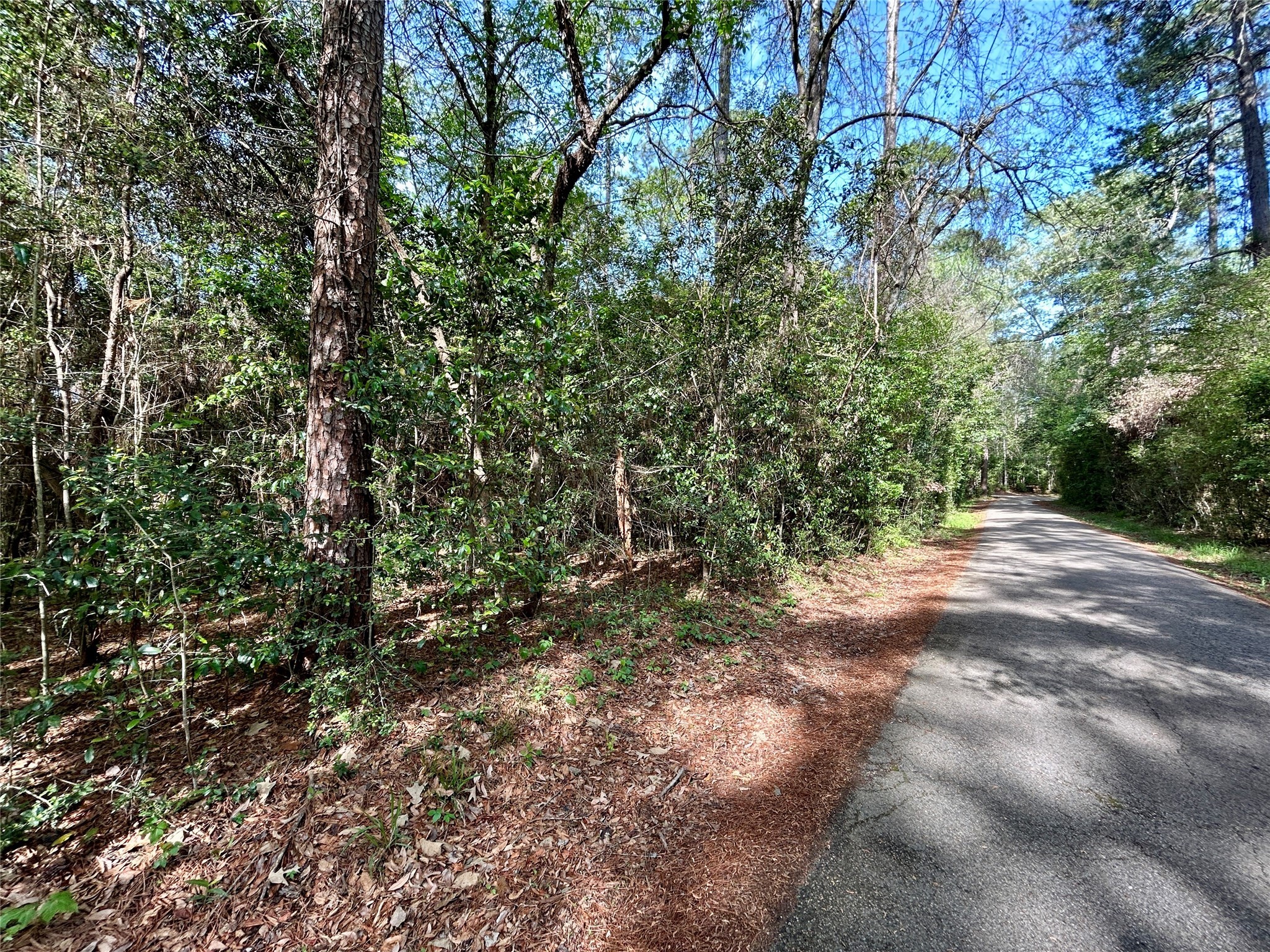 Tbd Copperhead Road Conroe, TX 77303 - Photo 20 of 21 a view of outdoor space and trees