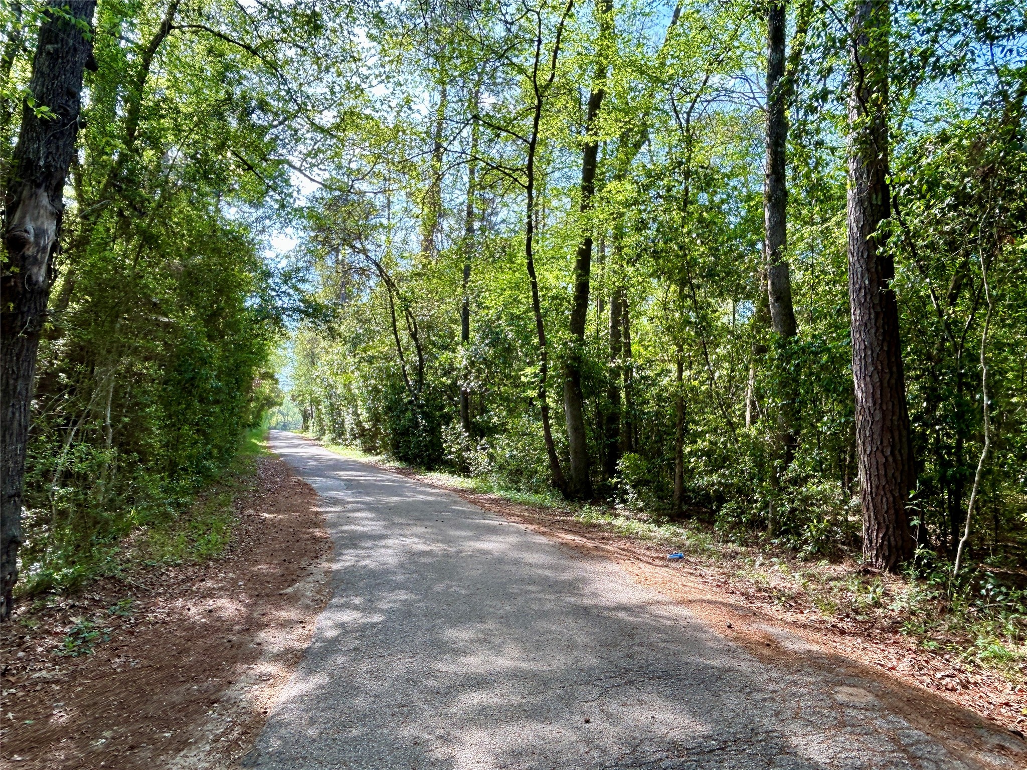 Tbd Copperhead Road Conroe, TX 77303 - Photo 21 of 21 a view of a forest with trees