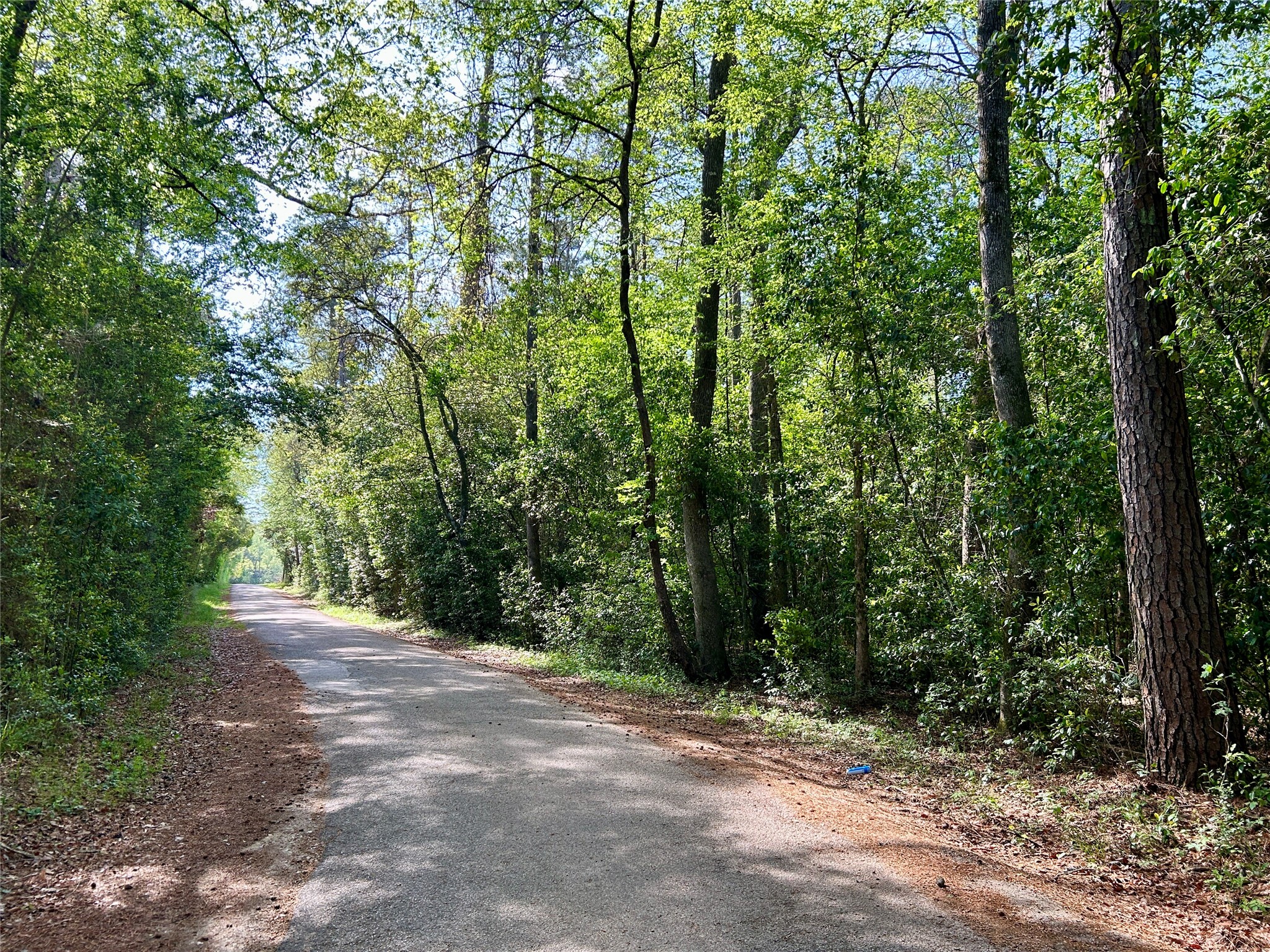 Tbd Copperhead Road Conroe, TX 77303 - Photo 6 of 21 a view of outdoor space and trees