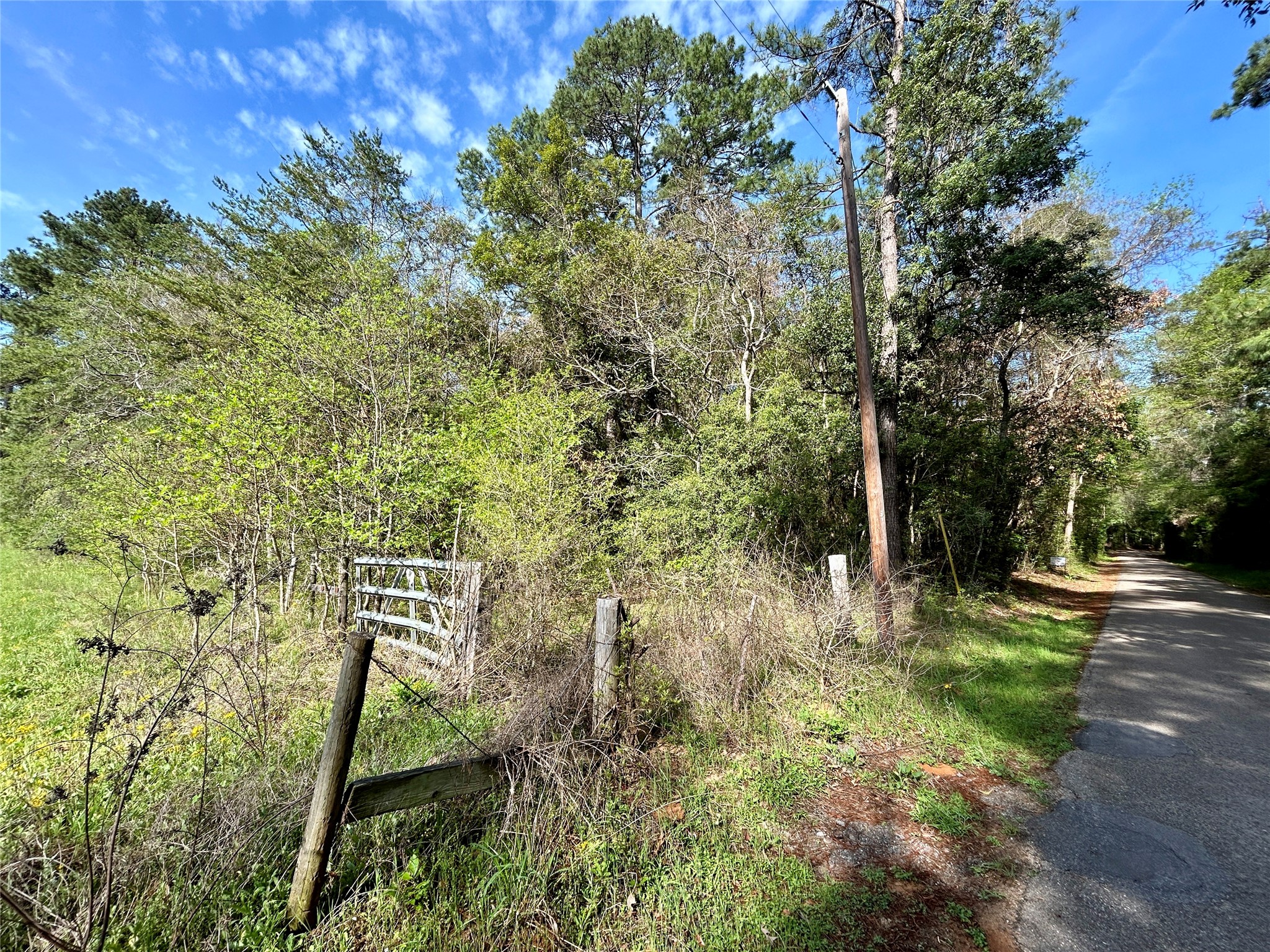Tbd Copperhead Road Conroe, TX 77303 - Photo 7 of 21 a backyard of a house with lots of green space
