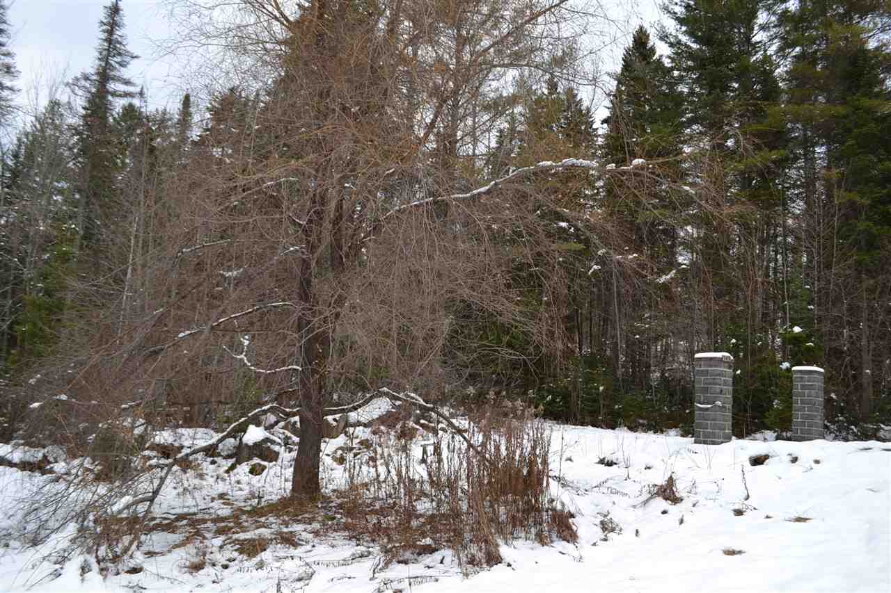 145 Jerusalem Road Marshfield, VT 05667 - Photo 3 of 11