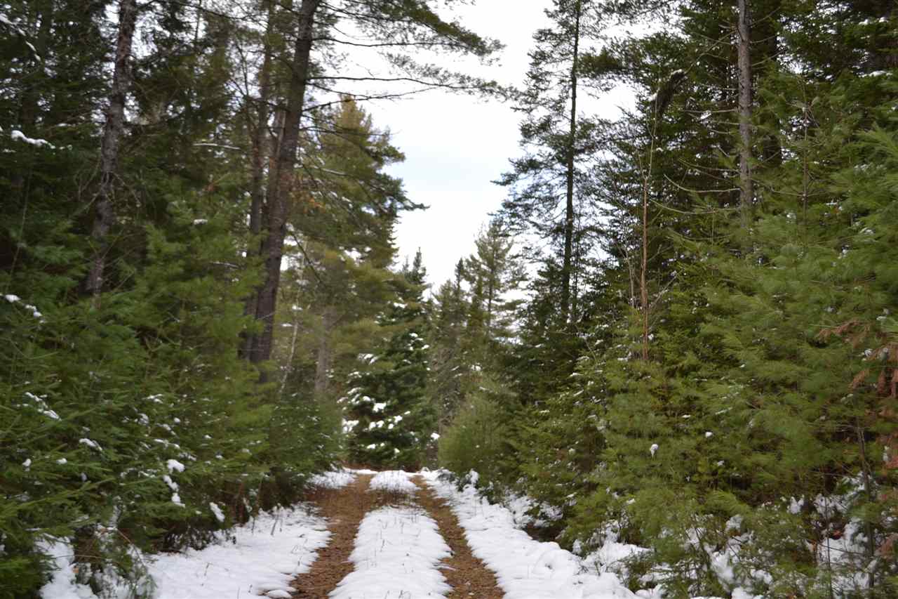 145 Jerusalem Road Marshfield, VT 05667 - Photo 5 of 11